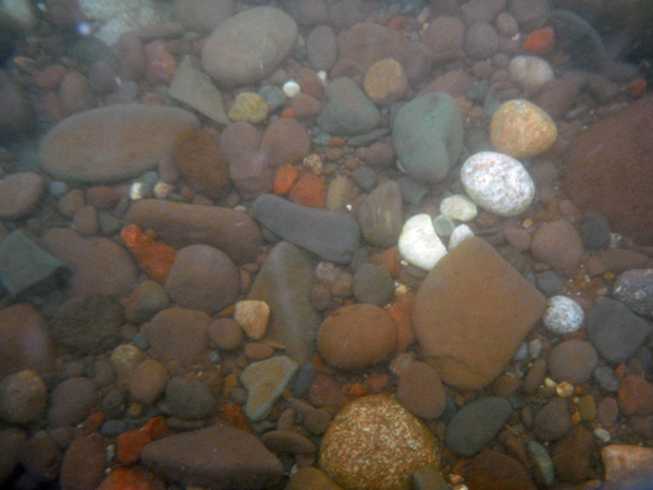 The rocky bottom of Lake Superior